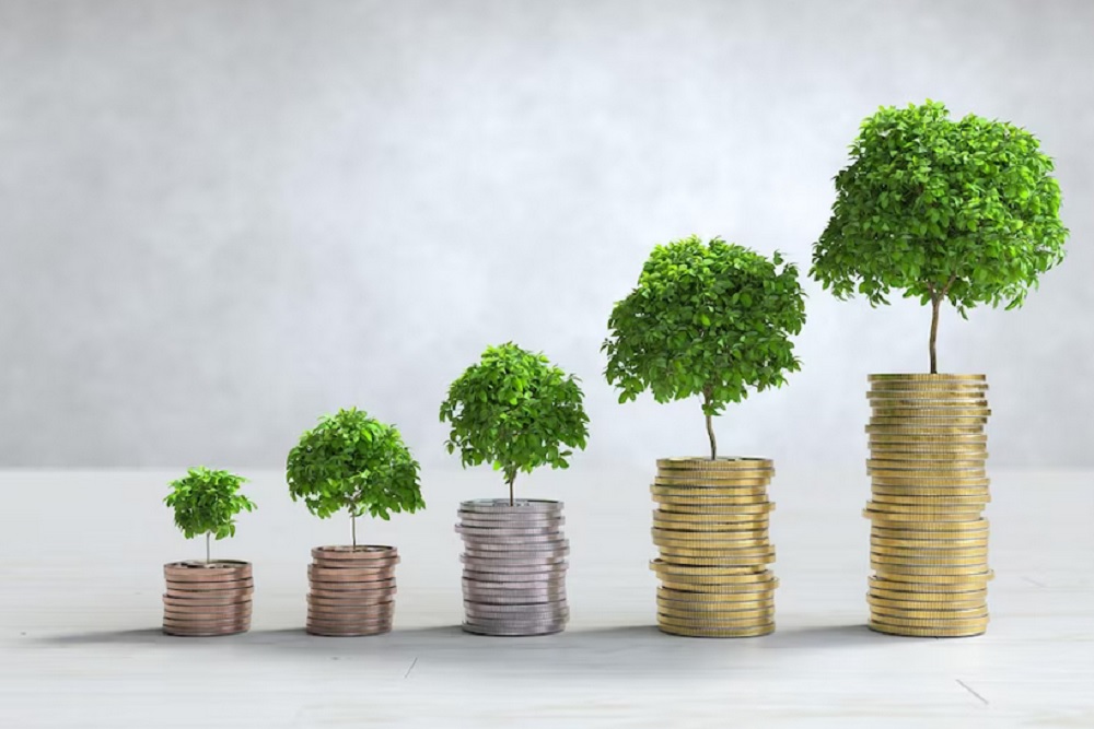 Sistem OSS Terpusat, Bantul Belum Kantongi Data Investasi Terbaru