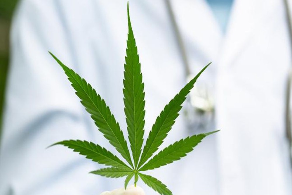 22 Biksu Sri Lanka Ditangkap Bawa 110 Kg Ganja dari Thailand