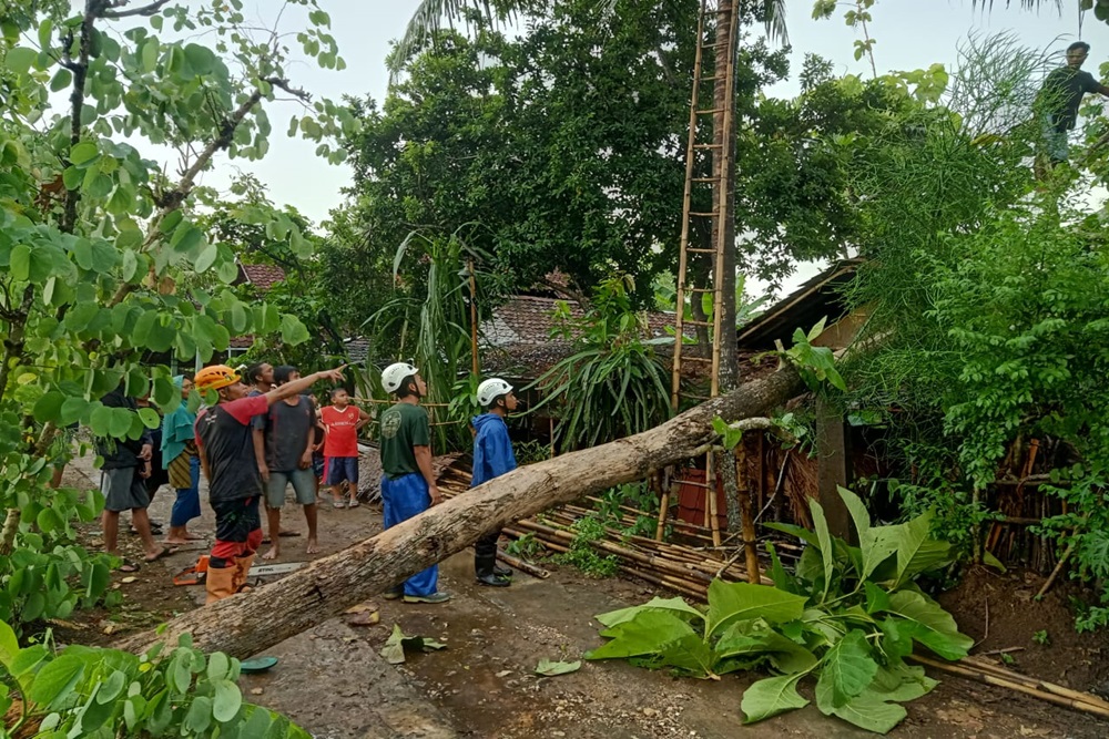 Angin Kencang Terjang Sleman, Pohon Tumbang Timpa Mobil dan Rumah