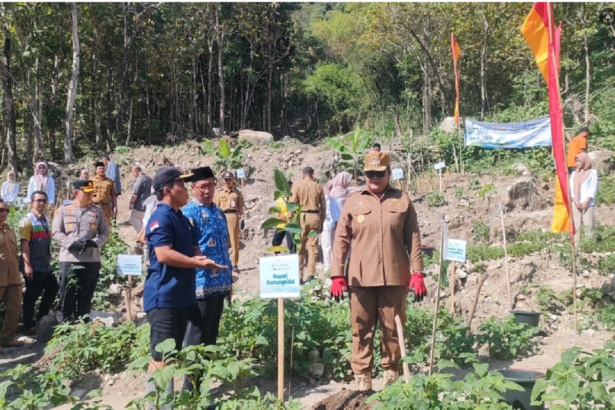 Ribuan Pohon Ditanam di Kawasan Rawan Longsor Lereng Jono