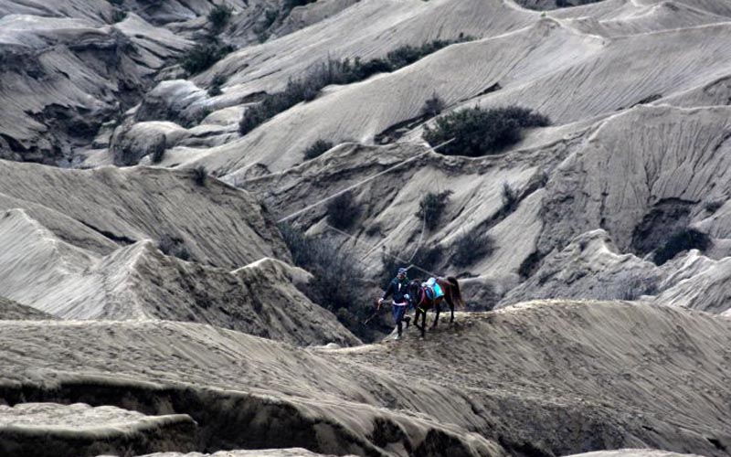 Ritual Mendak Tirta Awali Yadnya Kasada 2026, Bromo Ditutup 4 Hari