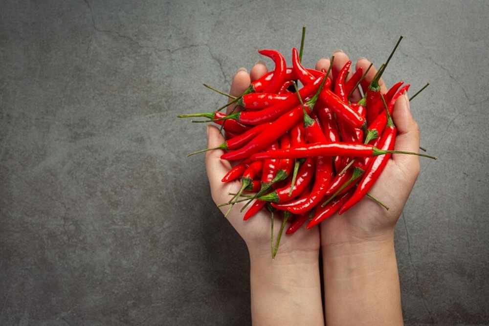 Harga Cabai Rawit Merah Masih Tinggi, Tembus Rp71.600 per Kg