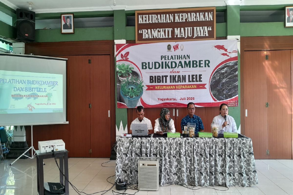 Warga Jogja Diajak Panen Lele dari Ember dengan Budikdamber