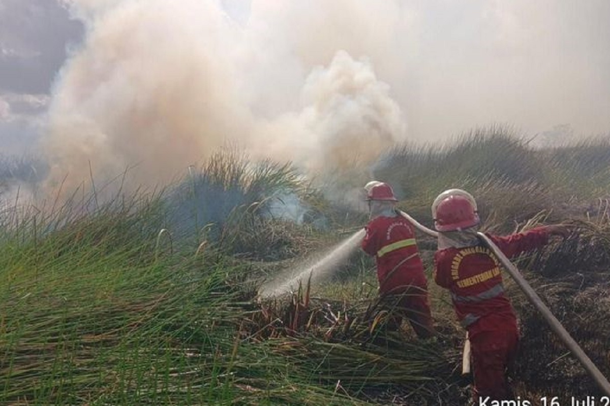 Kemenhut Siagakan 180 Personel Manggala Agni Hadapi Karhutla di Kalsel